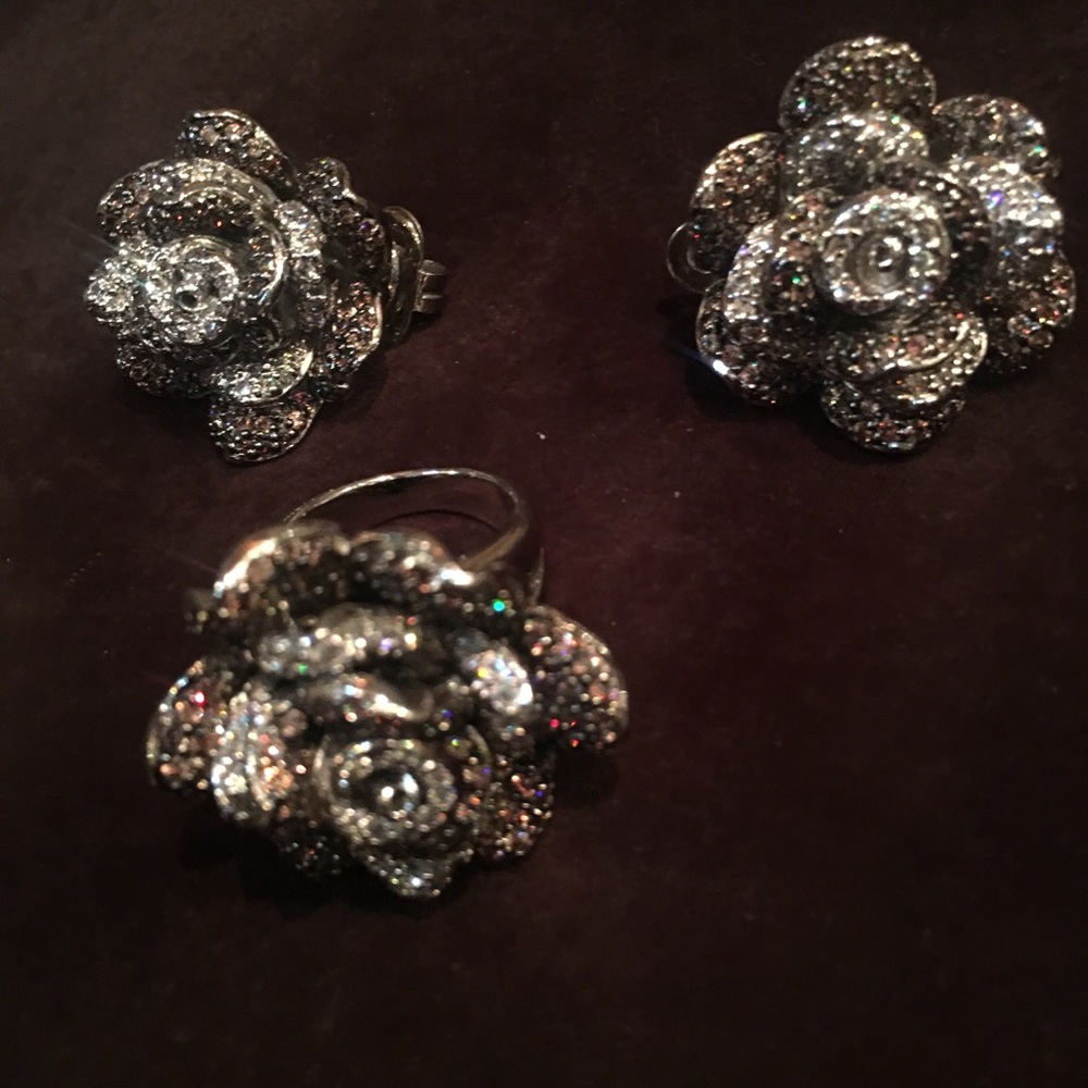 Very fancy  ring and earring set